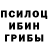 Псилоцибиновые грибы Cubensis TIko Ruskey