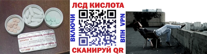 продажа наркотиков  Нижний Ломов  ЛСД экстази ecstasy 
