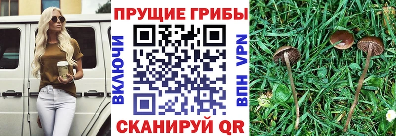 Галлюциногенные грибы мухоморы  Нижний Ломов 