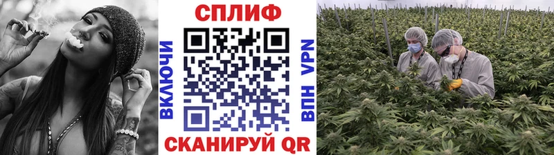 Бошки марихуана Ganja Нижний Ломов